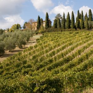 TRAVEL SERVICES: FLORENCE WINE TASTING FOR 2- NON REFUNDABLE